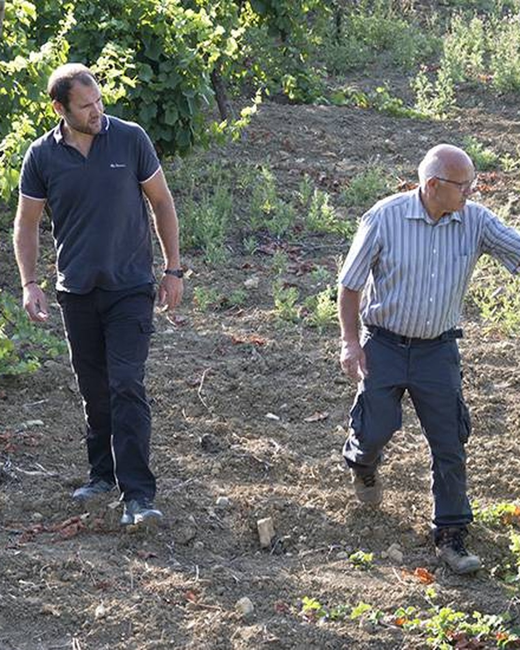 Domaine Delmas, Antugnac