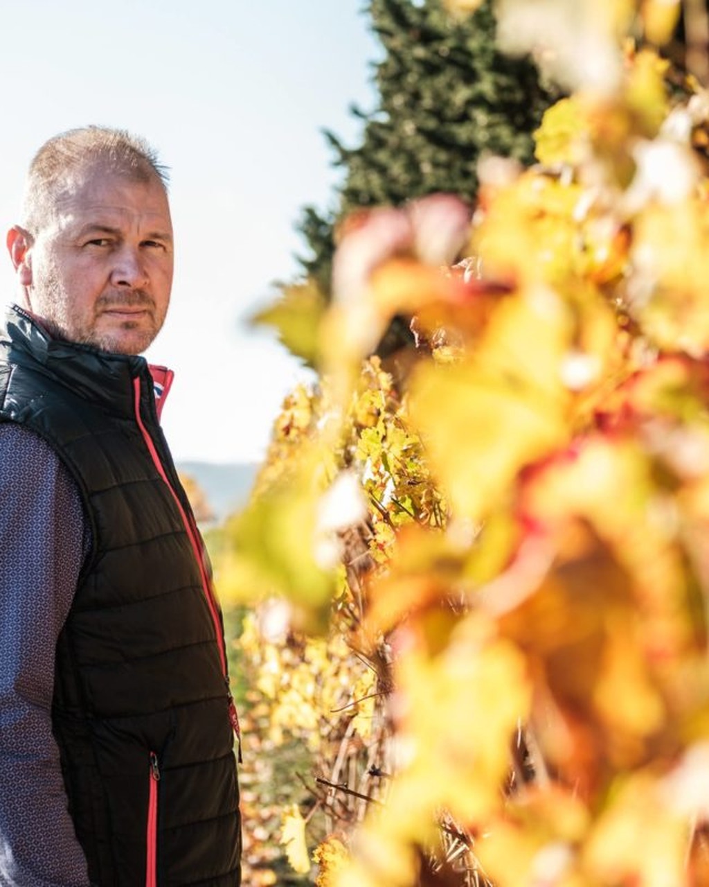 Domaine Girard, Alaigne
