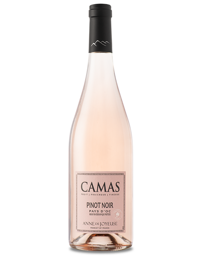 Camas Pinot Noir Rosé