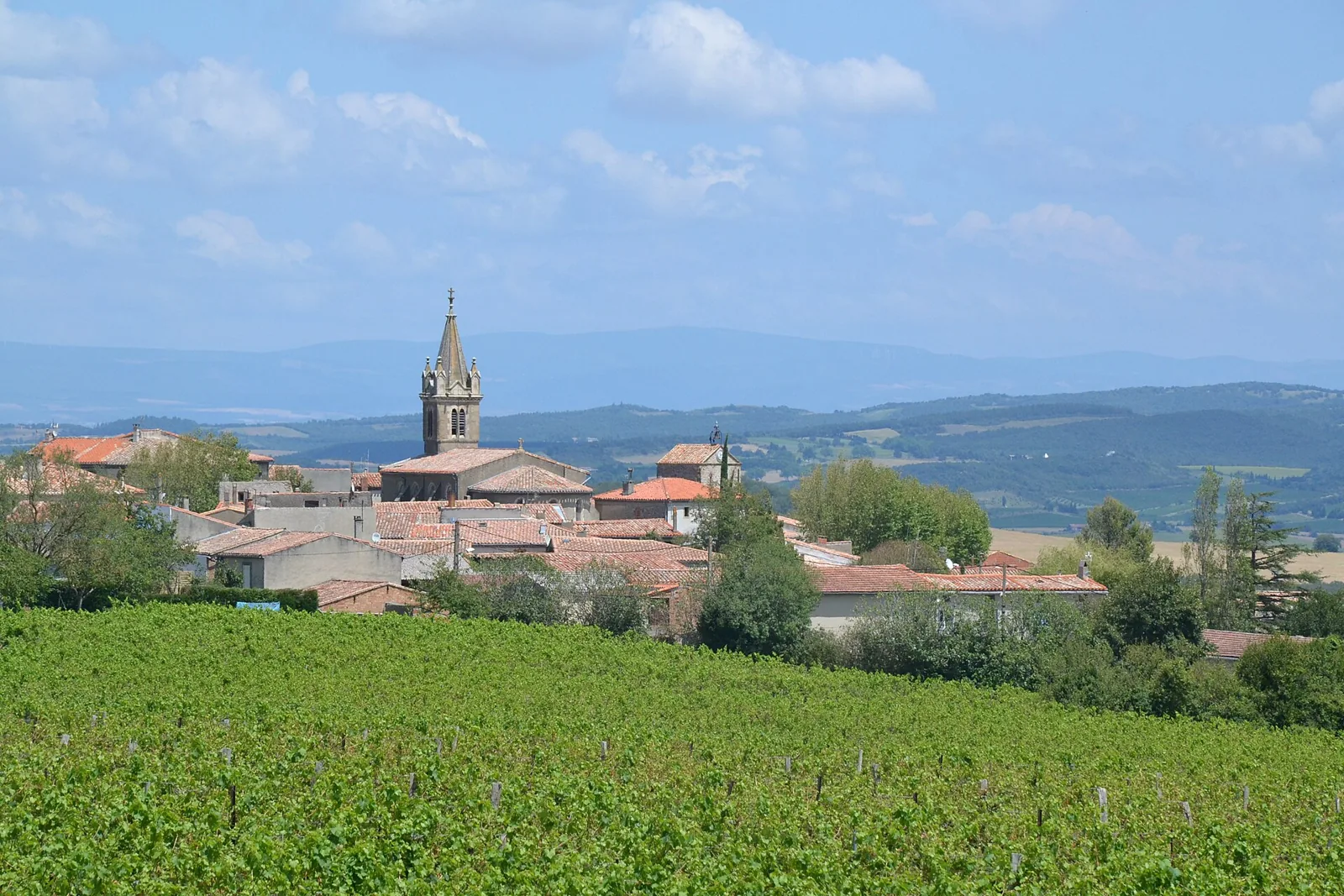 Rolling vineyard and farmland country at Alaigne in the Aude